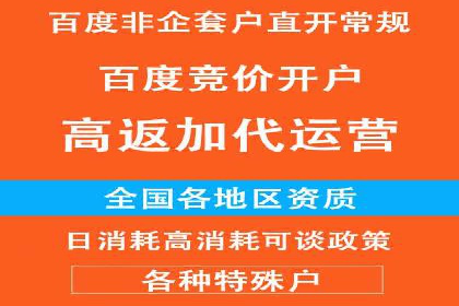 详解百度推广开户：成功案例带你入门