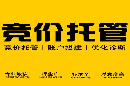 案例剖析：SEM竞价助力品牌建设